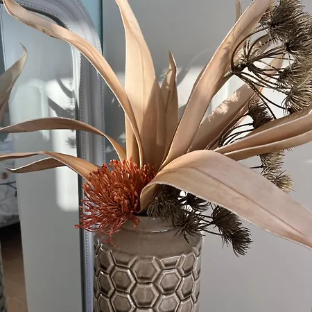 Appartamento Leptitcosy Avec Parking Et Jardin à 5 Mn Du Centre Historique De Bayeux *