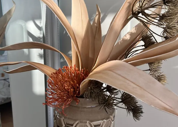 Appartamento Leptitcosy Avec Parking Et Jardin à 5 Mn Du Centre Historique De Bayeux *