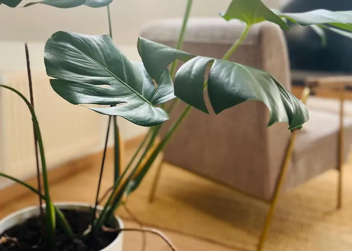 Appartamento Leptitcosy Avec Parking Et Jardin à 5 Mn Du Centre Historique De Bayeux *