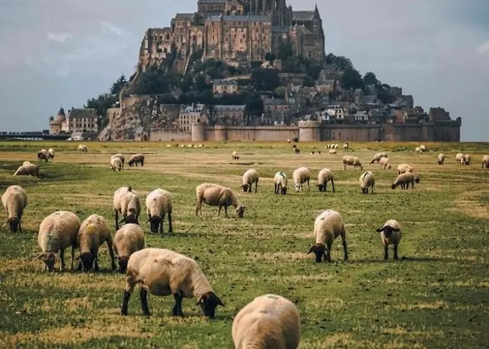 Leptitcosy Avec Parking Et Jardin à 5 Mn Du Centre Historique De Bayeux Vaucelles